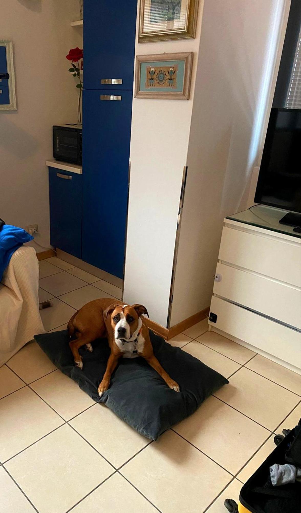 Gemme Fiorentine Apartments In Front Of The Train Station 5 Minutes From The Centre Free Parking Florença Exterior foto