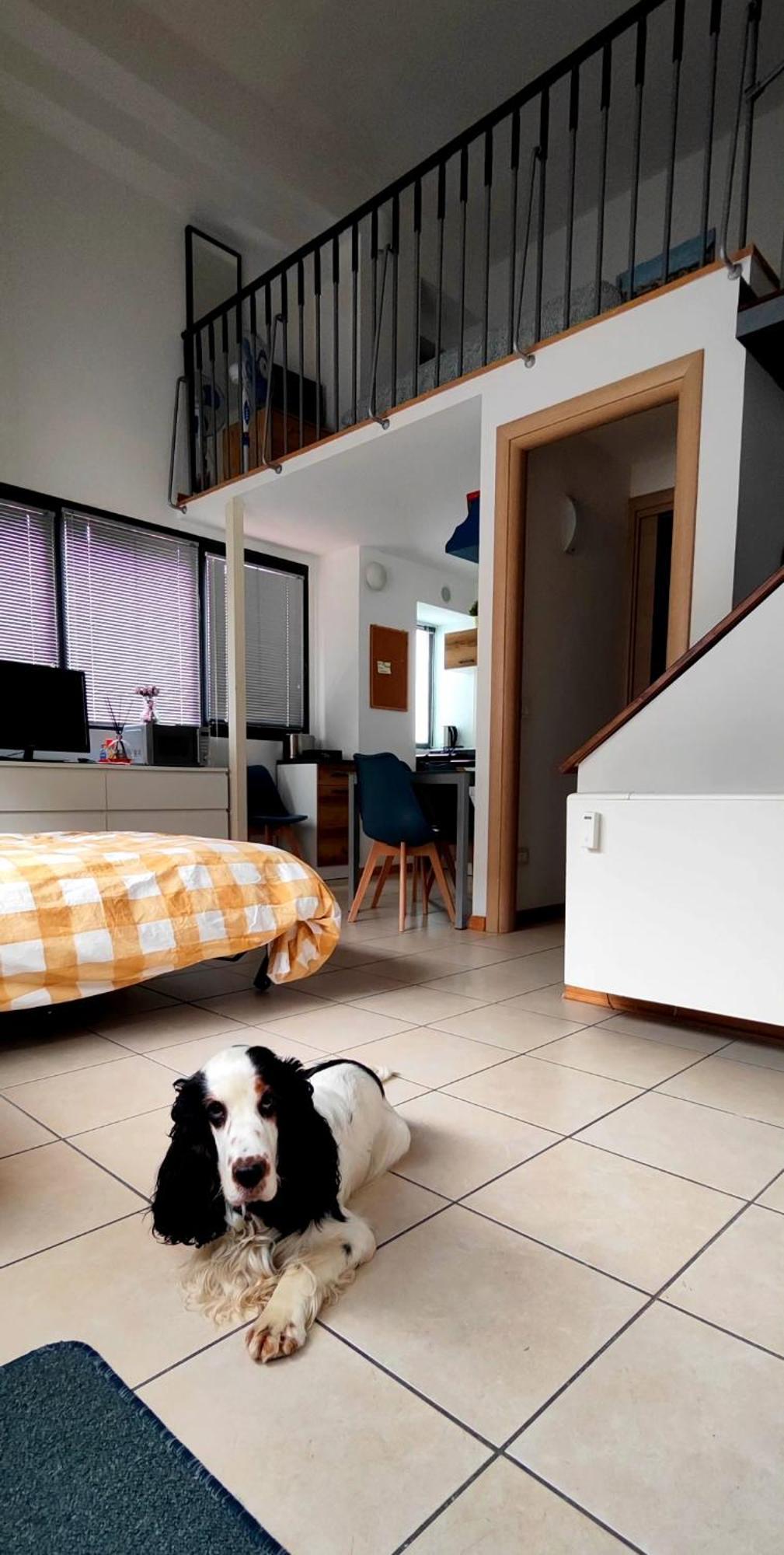 Gemme Fiorentine Apartments In Front Of The Train Station 5 Minutes From The Centre Free Parking Florença Exterior foto